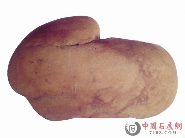 Ƭ2008 014.jpg