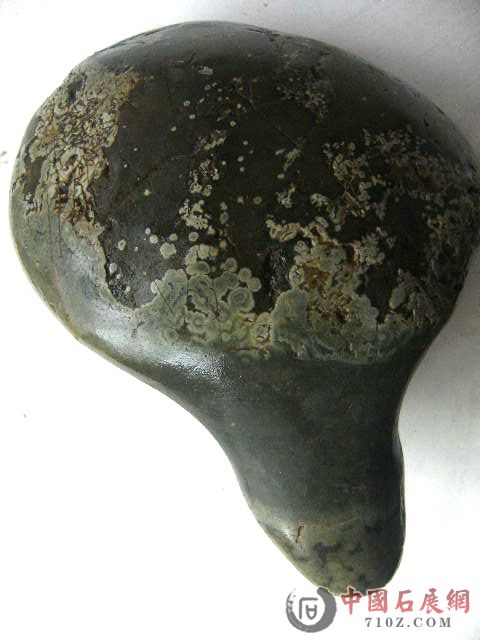 2011.2.13 065.jpg