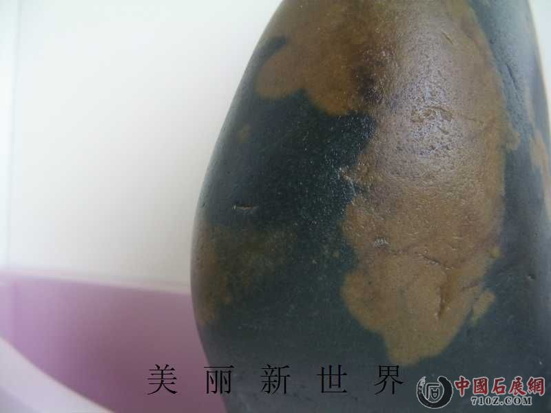 IMAG0079.jpg
