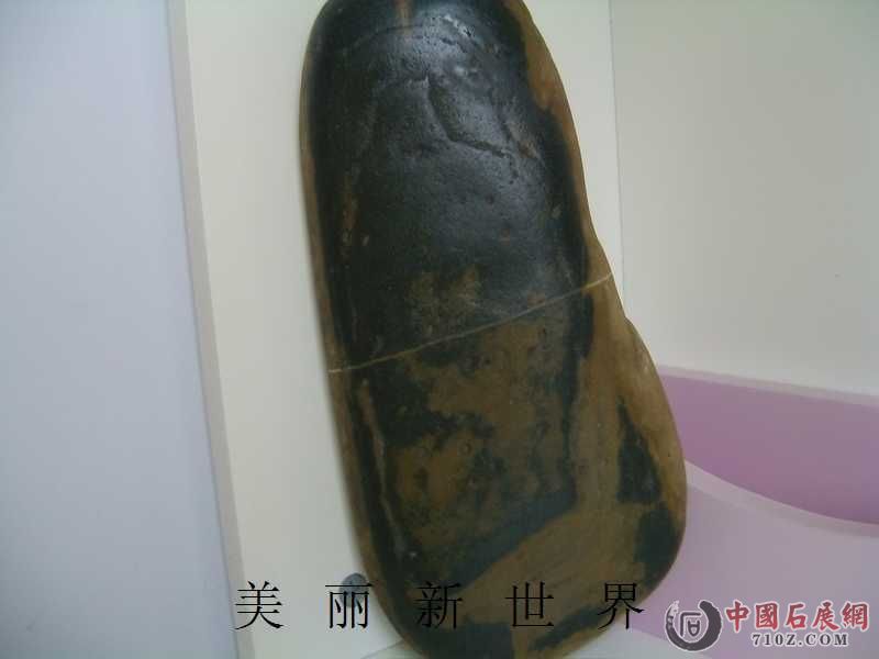IMAG0160.jpg