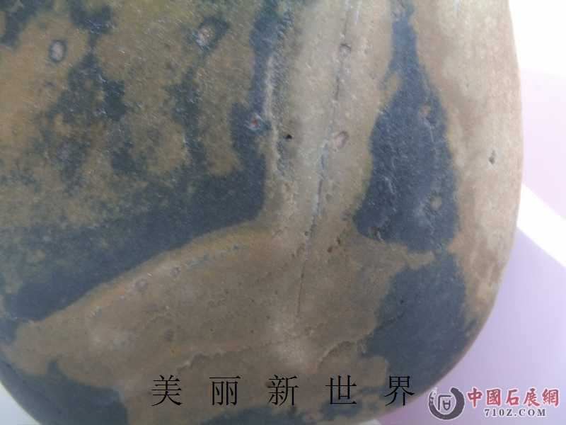 IMAG0166.jpg