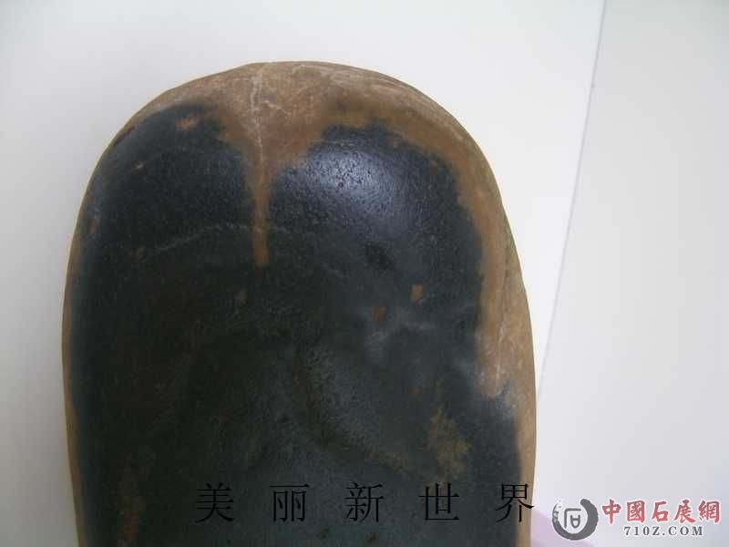 IMAG0168.jpg