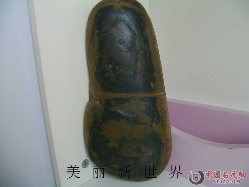 IMAG0172.jpg