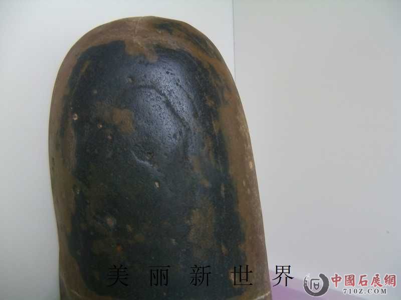 IMAG0175.jpg