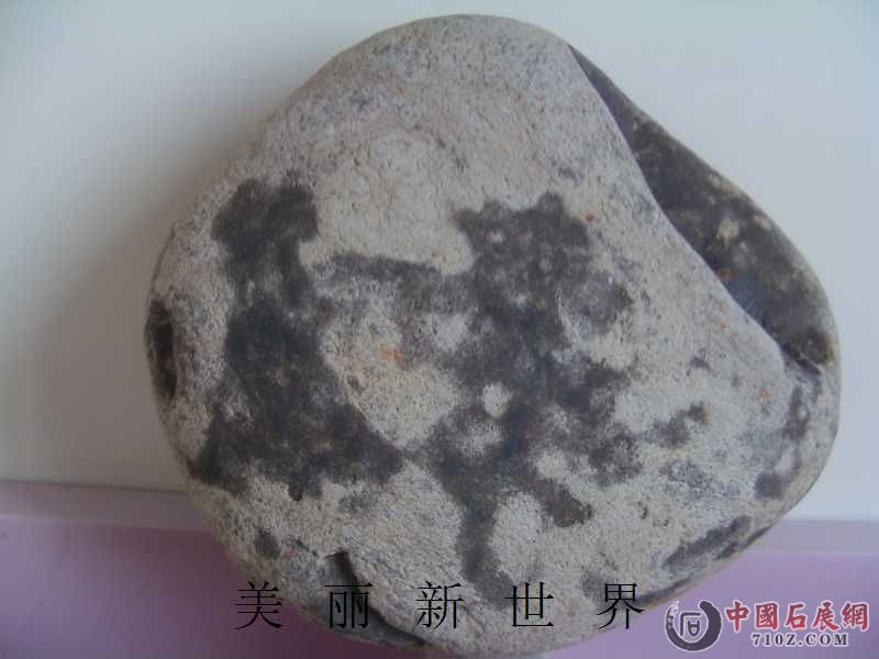 IMAG0002.jpg