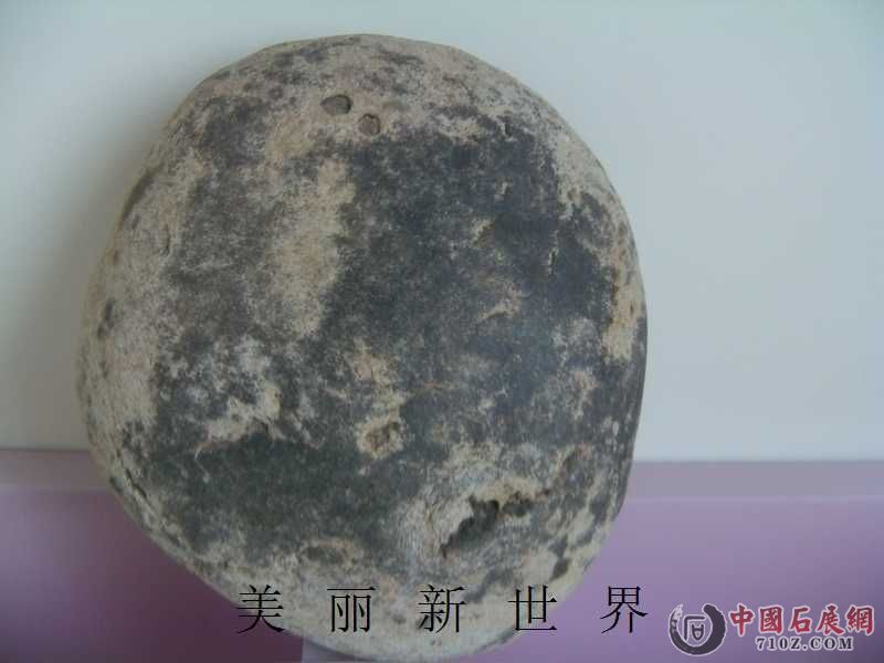IMAG0005.jpg