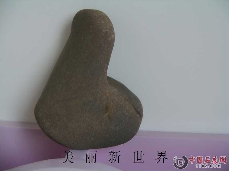 IMAG0007.jpg