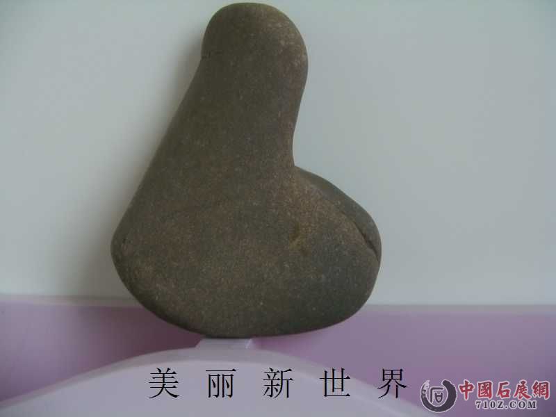 IMAG0008.jpg