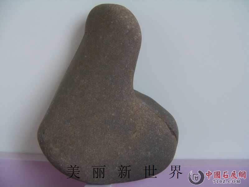 IMAG0009.jpg
