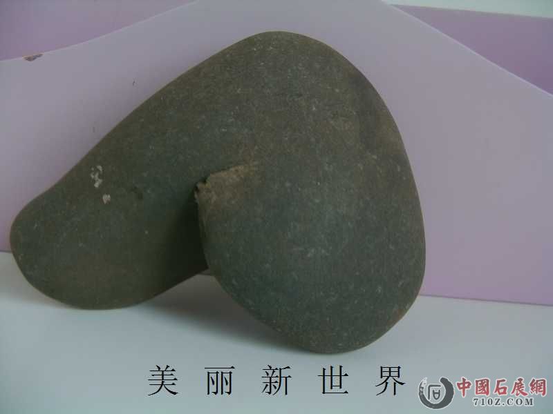 IMAG0010.jpg