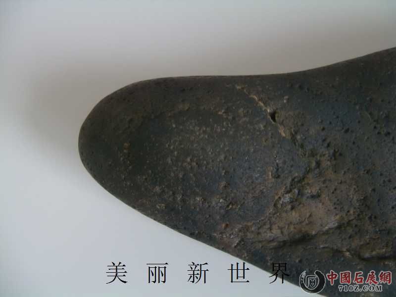 IMAG0036.jpg