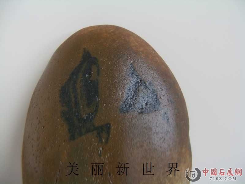 IMAG0032.jpg