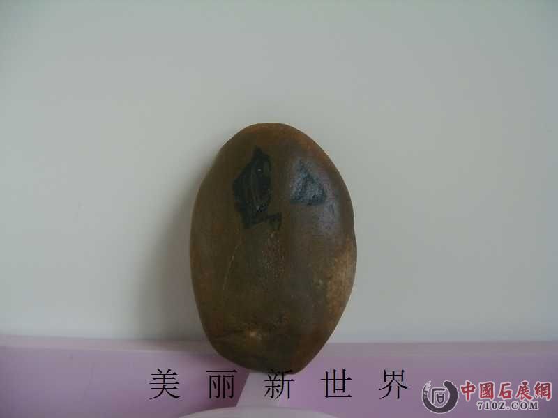 IMAG0034.jpg