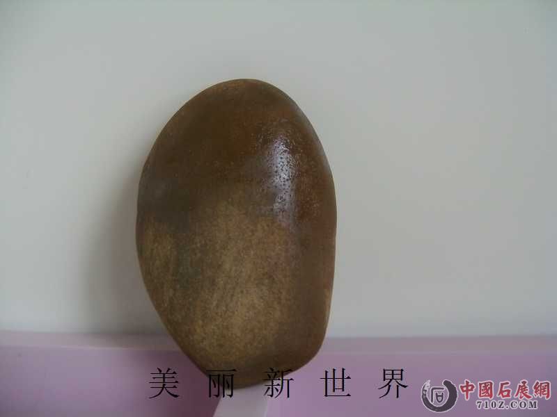 IMAG0035.jpg