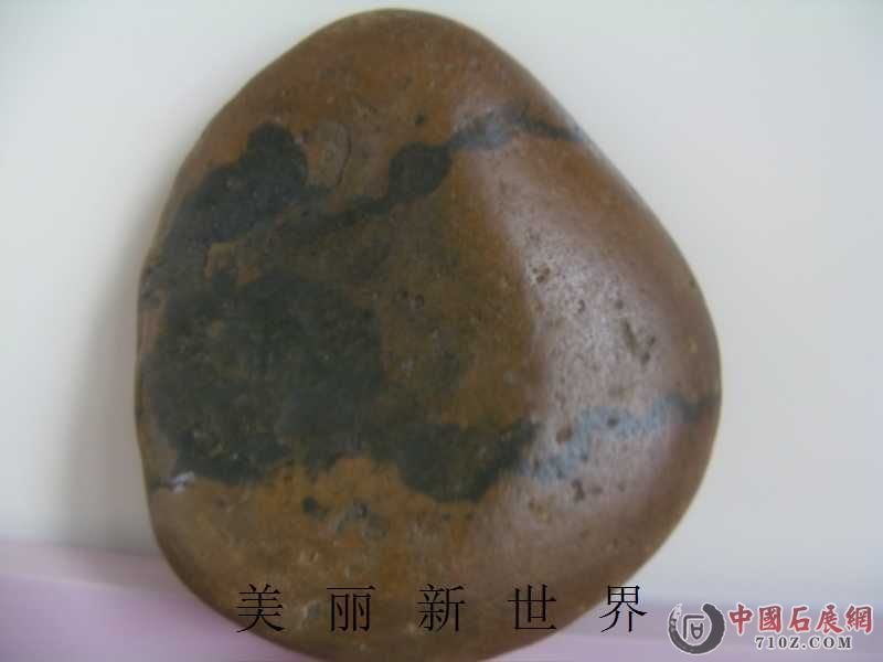 IMAG0013.jpg