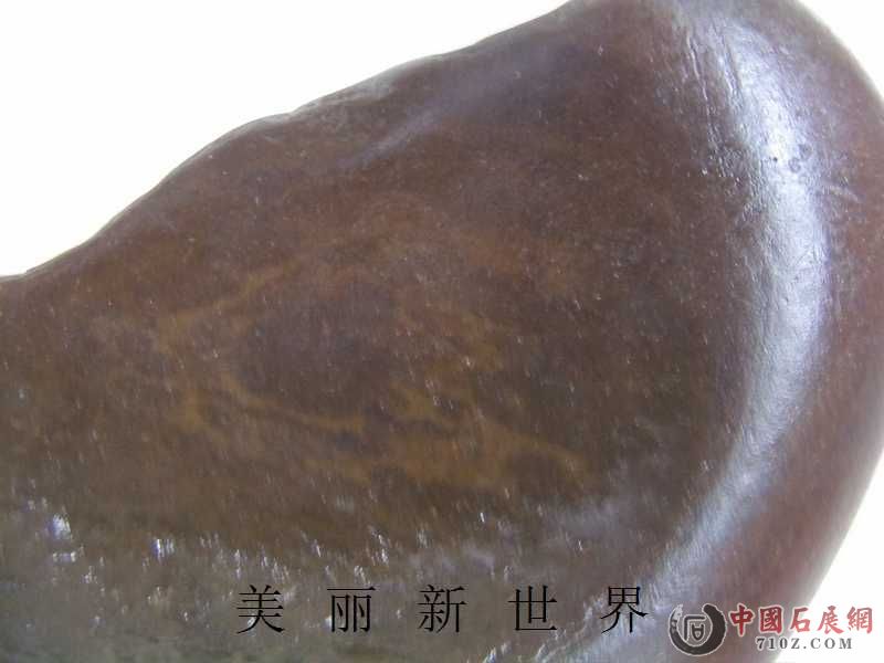 IMAG0021.jpg