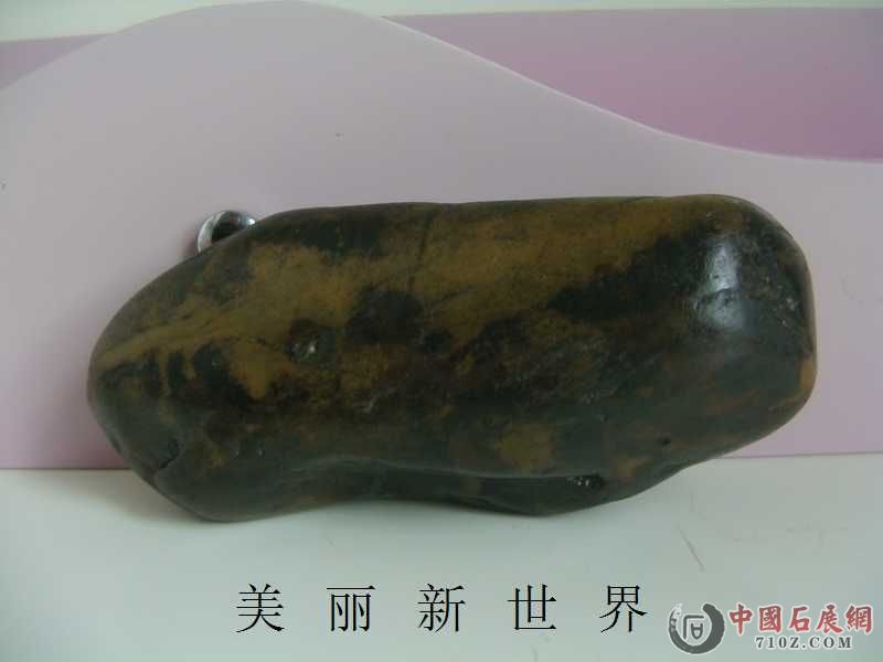 IMAG0031.jpg