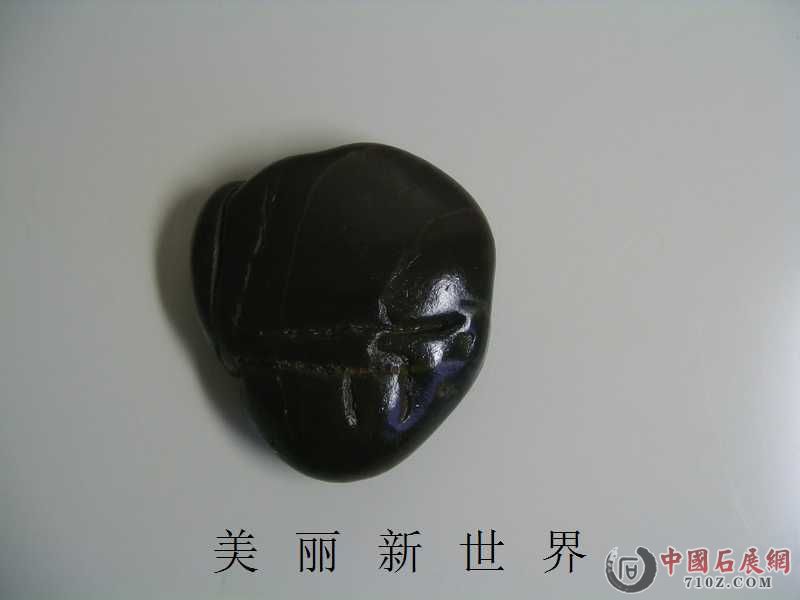 IMAG0032.jpg