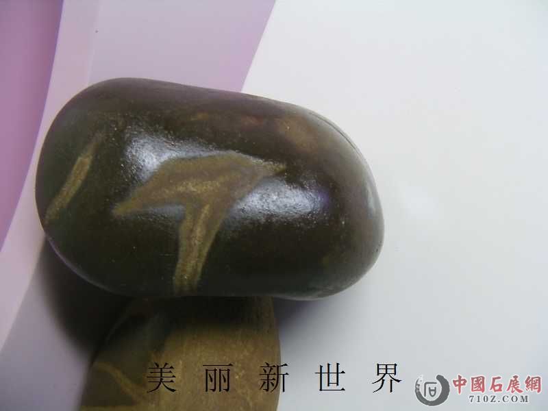 IMAG0042.jpg