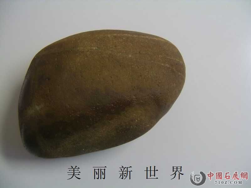 IMAG0044.jpg