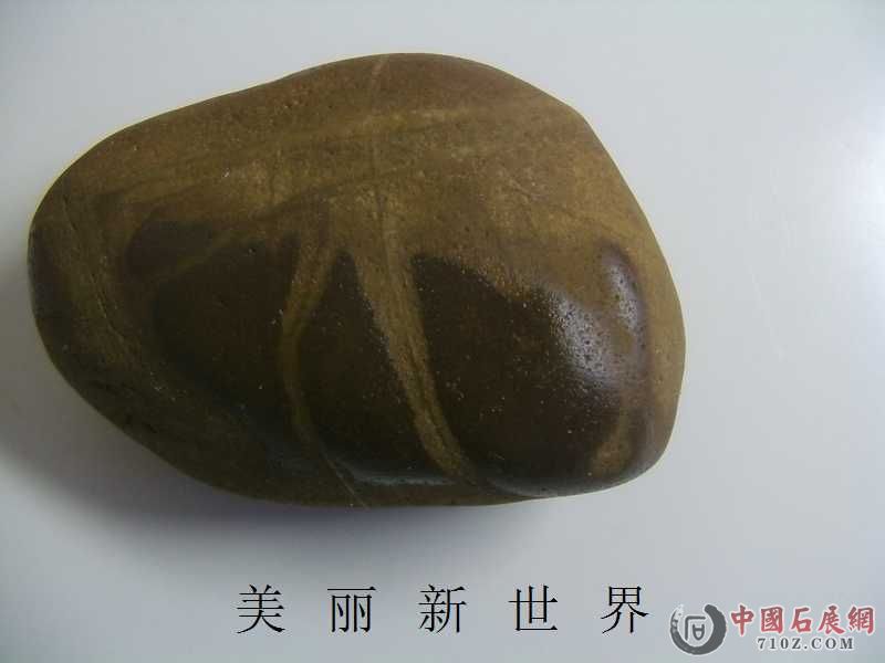 IMAG0046.jpg