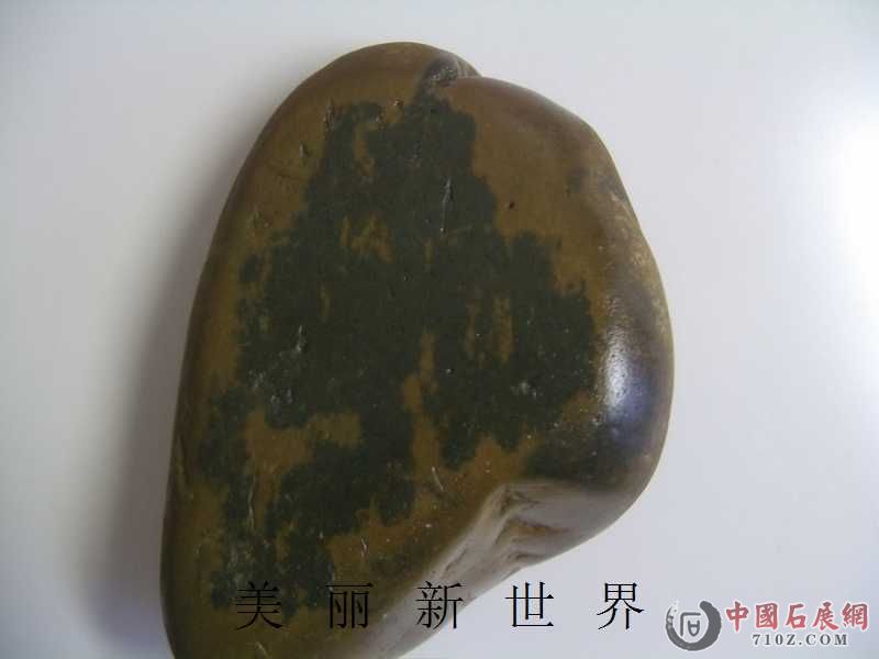 IMAG0022.jpg