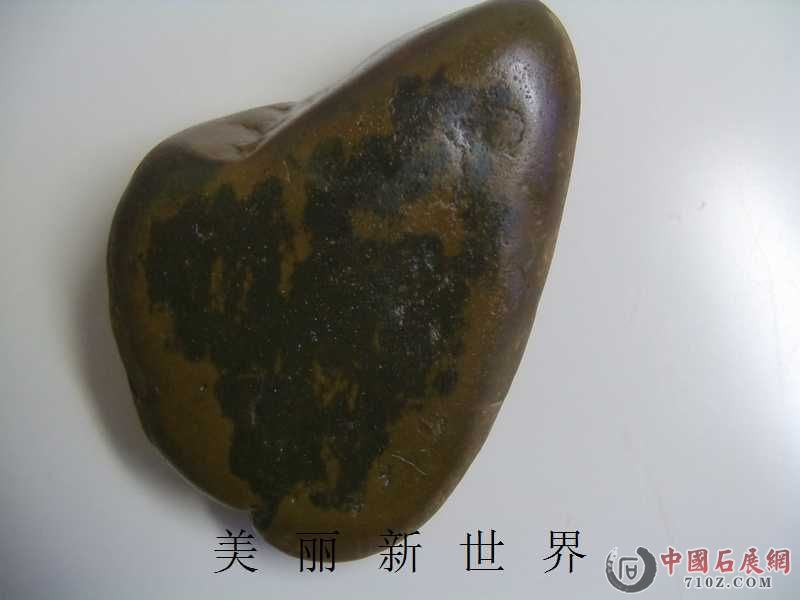 IMAG0025.jpg