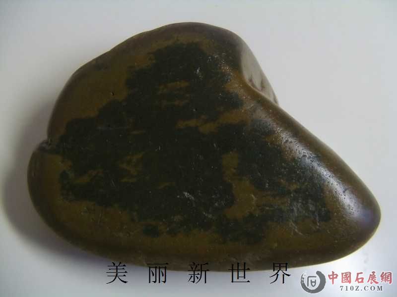 IMAG0027.jpg