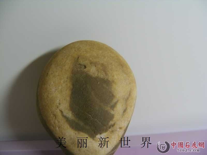 IMAG0015.jpg