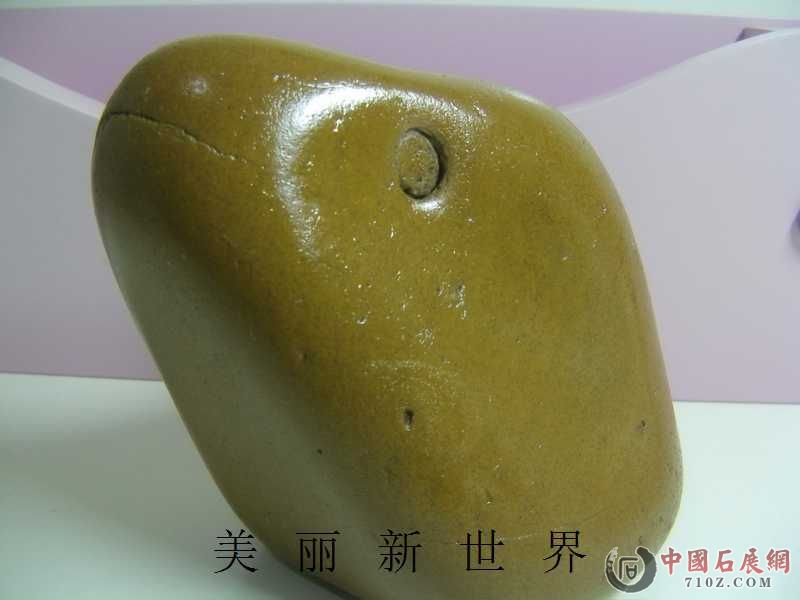 IMAG0041.jpg