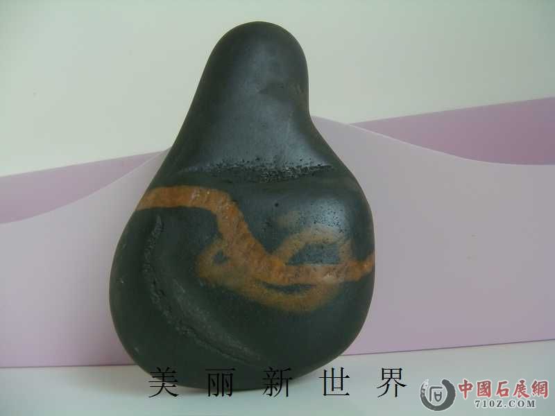 IMAG0012.jpg