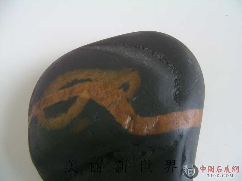 IMAG0013.jpg