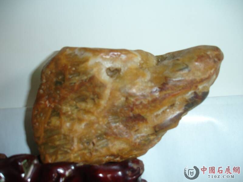 DSC00002.JPG