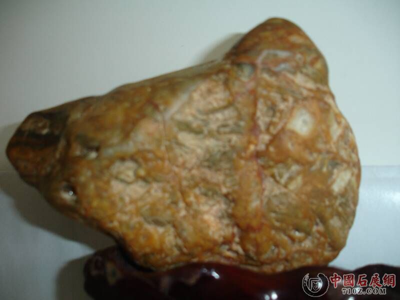 DSC00003.JPG