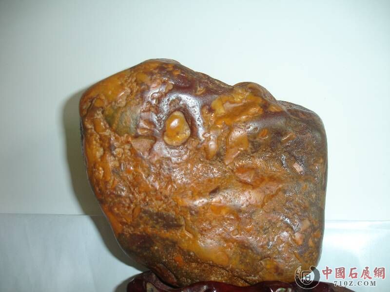 DSC00009.JPG