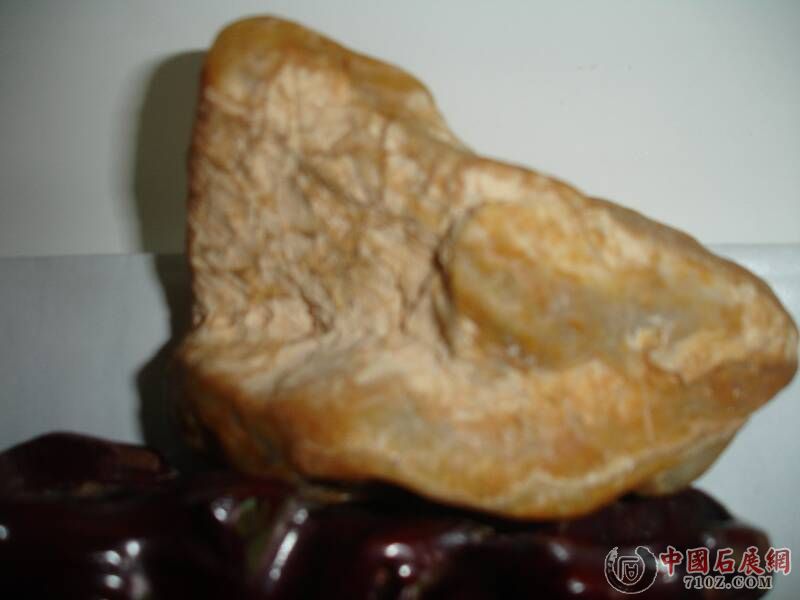 DSC00065.JPG
