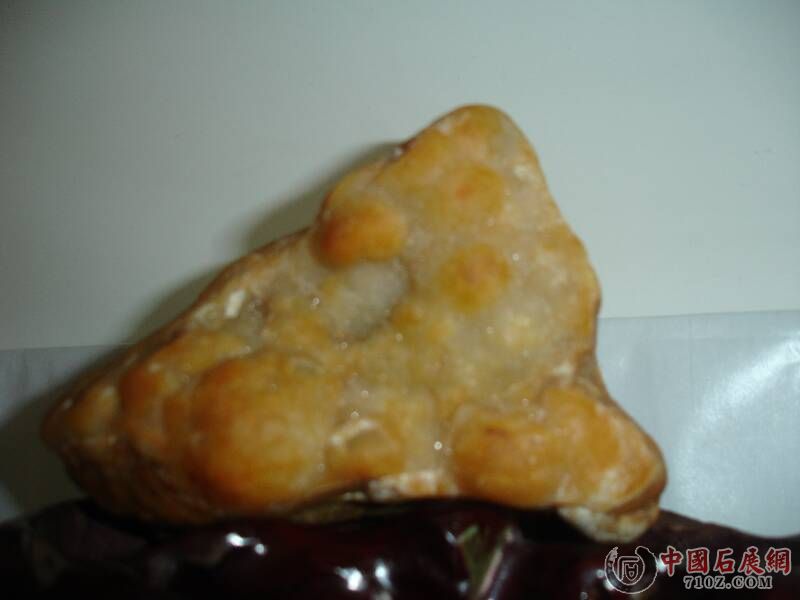 DSC00066.JPG