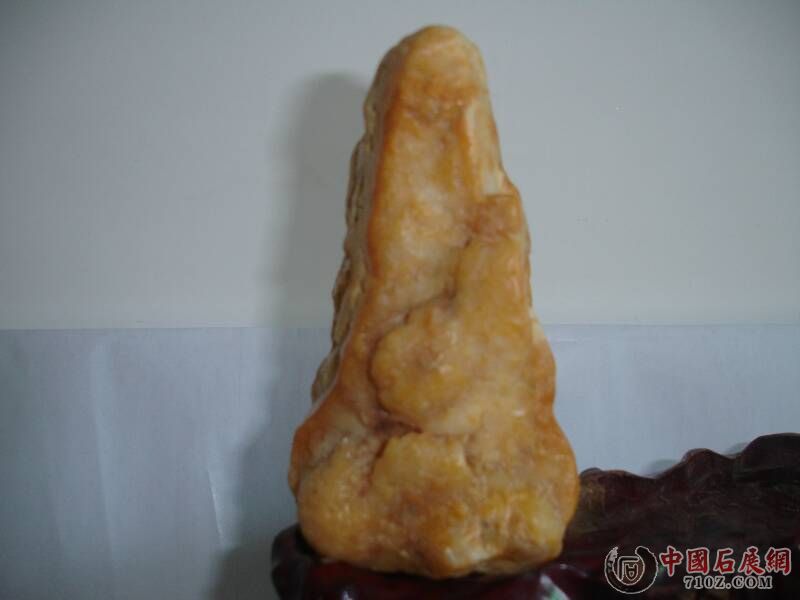 DSC00005.JPG