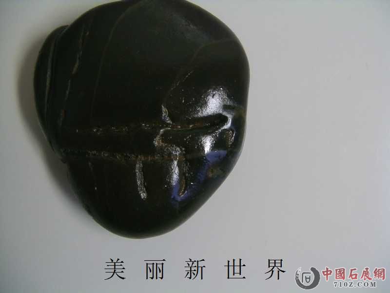 IMAG0030.jpg