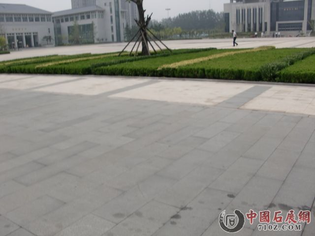 CIMG2520.JPG