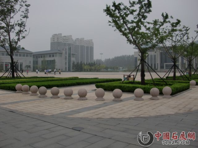 CIMG2523.JPG