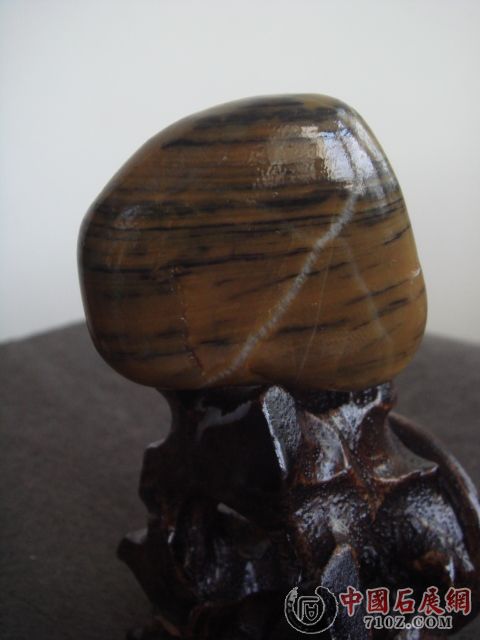 DSC08690.JPG