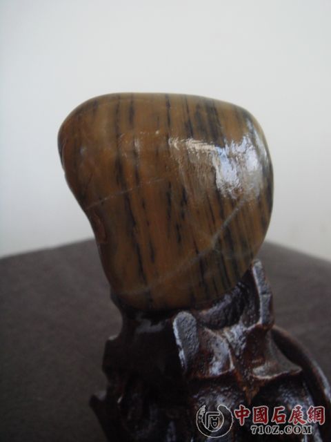 DSC08693.JPG