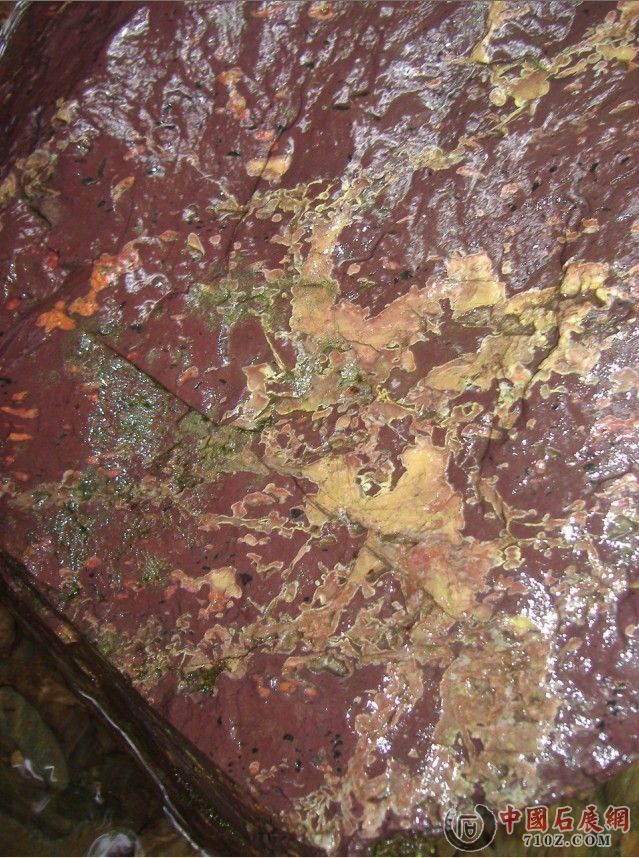 040.jpg
