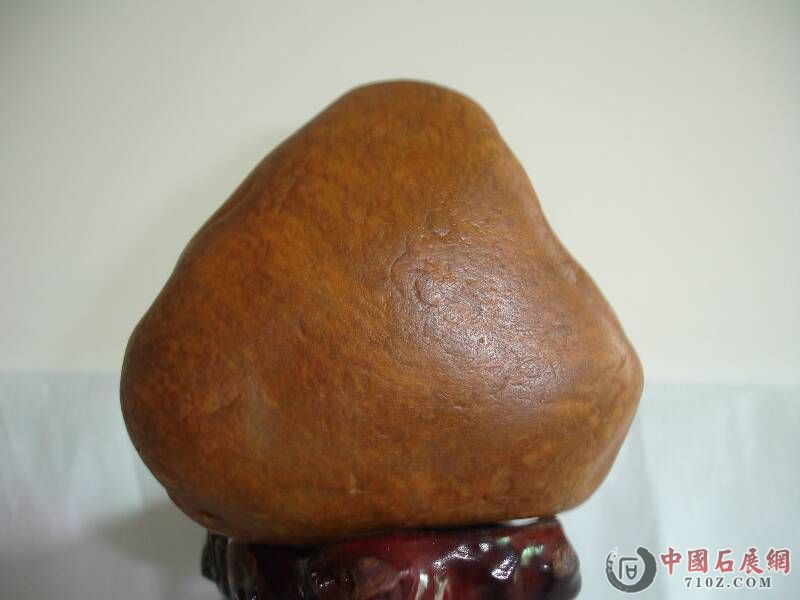 DSC00014.JPG