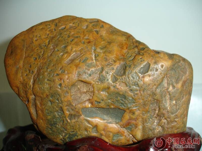 DSC00101.JPG