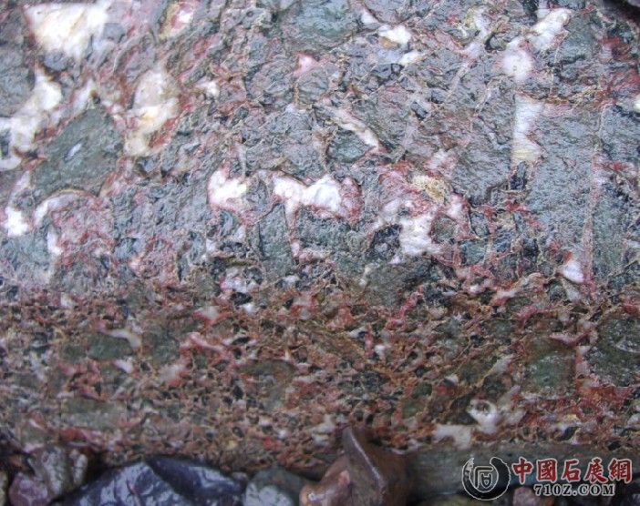 097.jpg