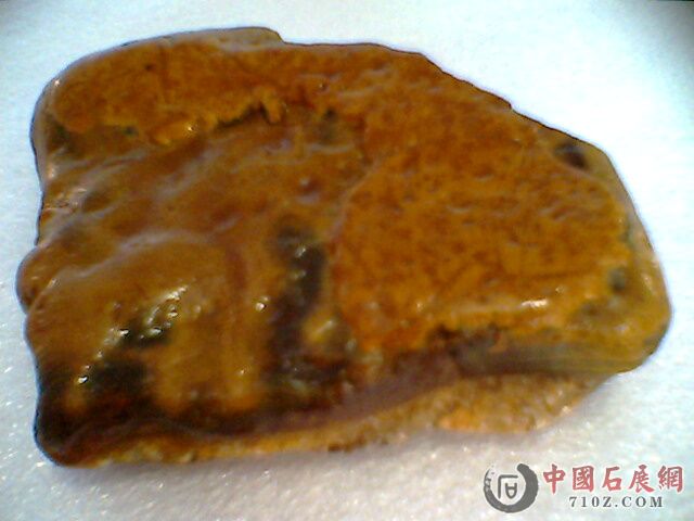 IMG2408A.jpg