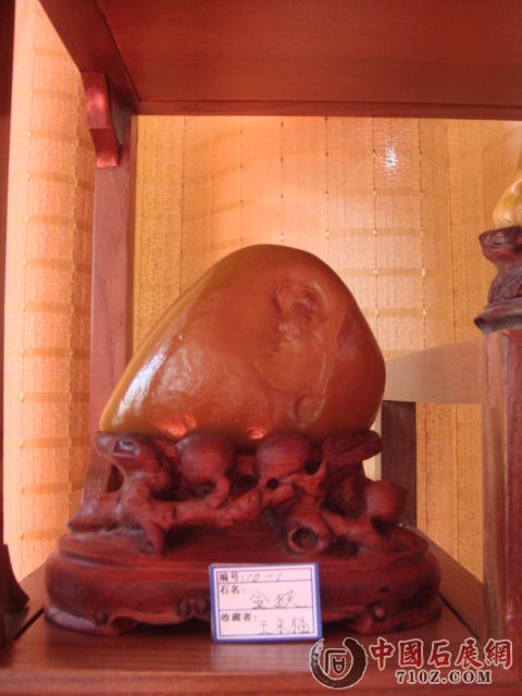 DSC01541.JPG