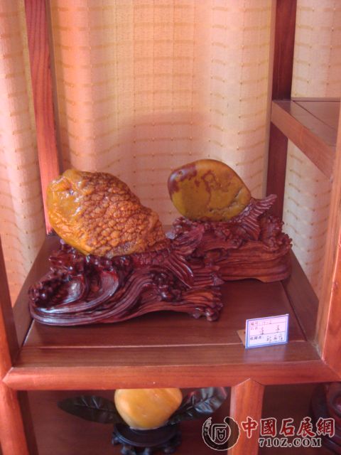 DSC01547.JPG